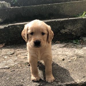 Meet your Posher, Renee